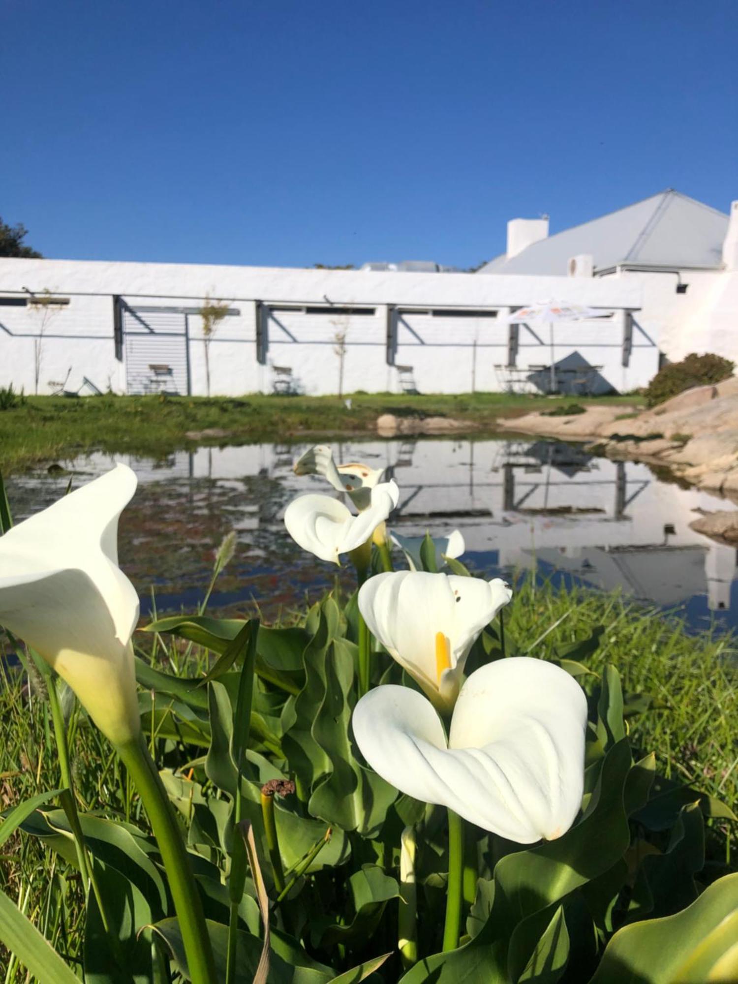 Swartwater!Khwa Ttu住宿加早餐旅馆 外观 照片